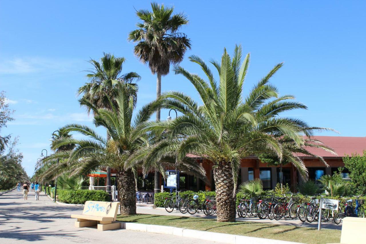 Sulmare Alba Adriatica Bed & Breakfast ภายนอก รูปภาพ